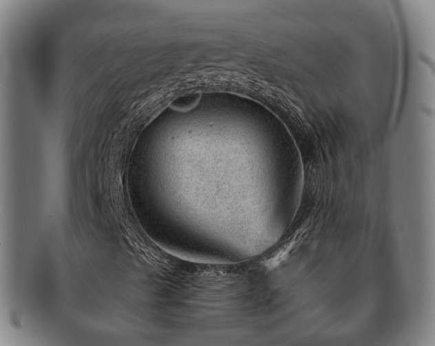 X0000092041489200709121143