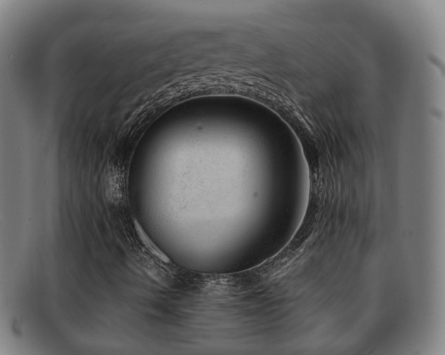 X0000092041490200709121143