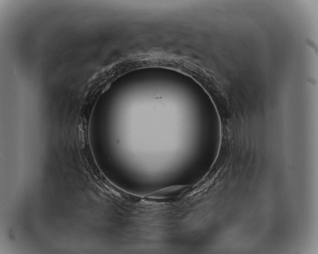 X0000092041493200709121143