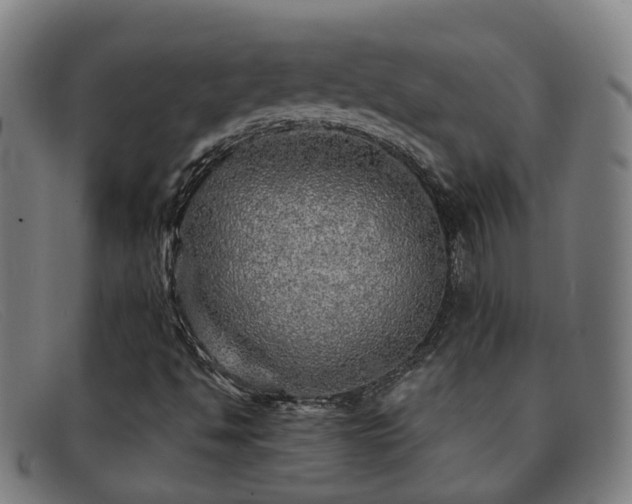 X0000092041494200709121143