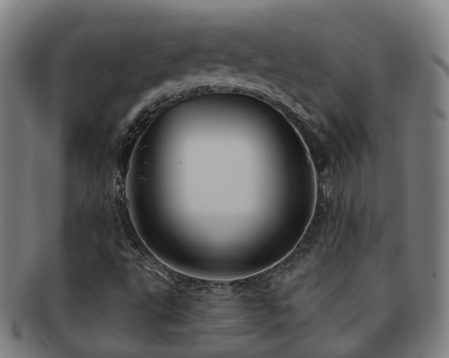 X0000092041495200709121143