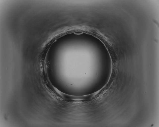 X0000092041496200709121143