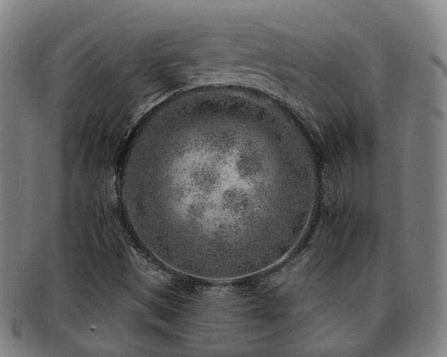 X0000092041497200709121143