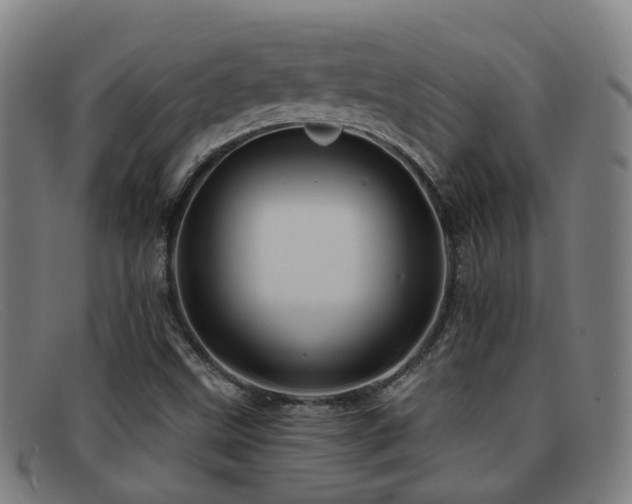 X0000092041499200709121143