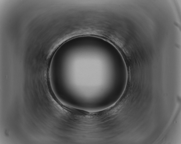 X0000092041500200709121143