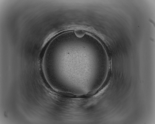 X0000092041501200709121143