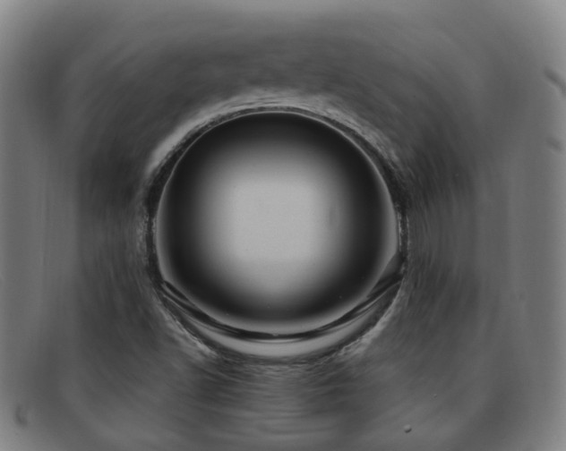 X0000092041502200709121143