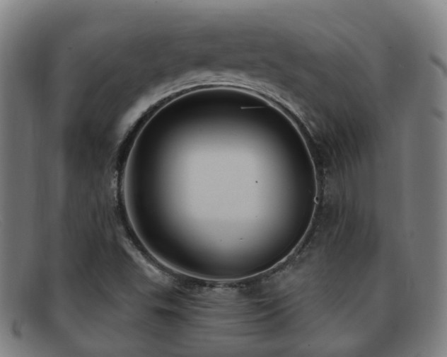 X0000092041503200709121143