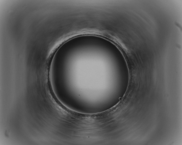 X0000092041504200709121143