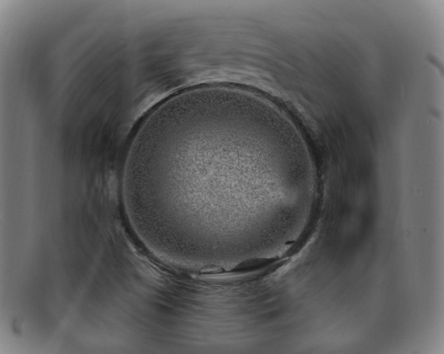 X0000092041505200709121143