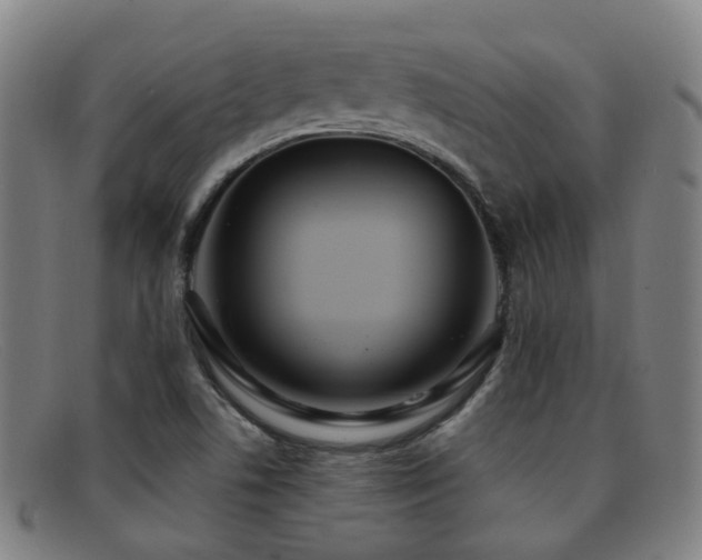 X0000092041506200709121143