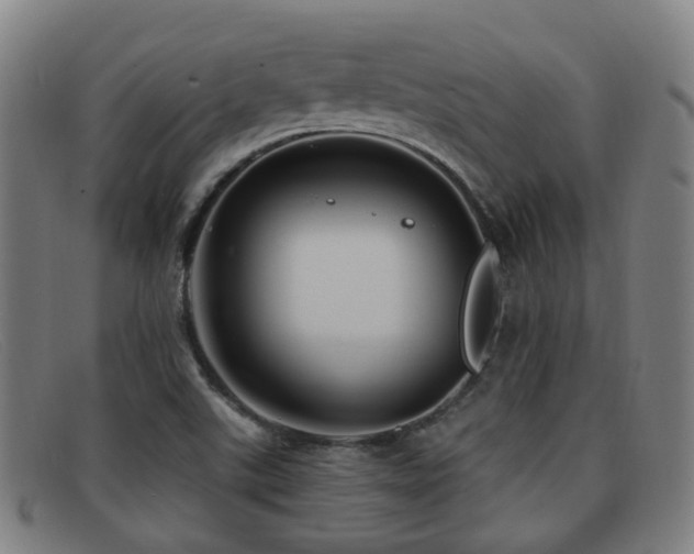 X0000092041507200709121143