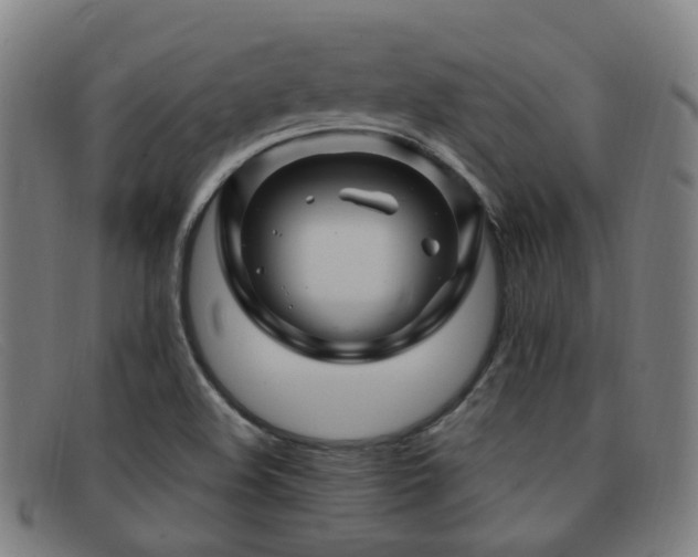 X0000092041508200709121143