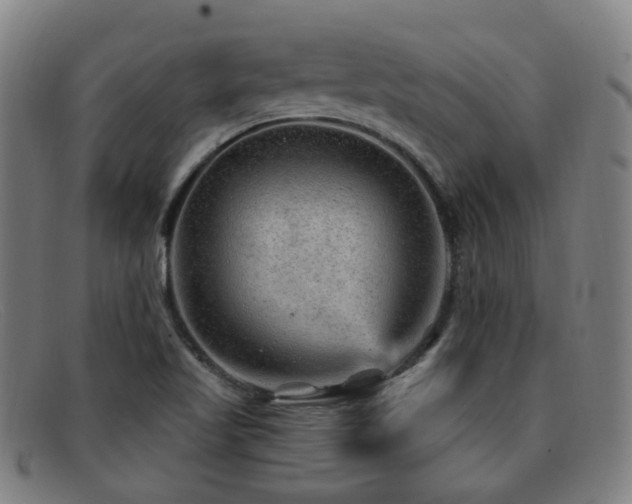 X0000092041509200709121144