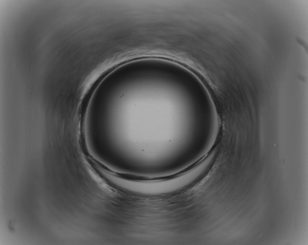 X0000092041511200709121144