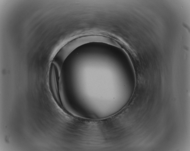 X0000092041512200709121144