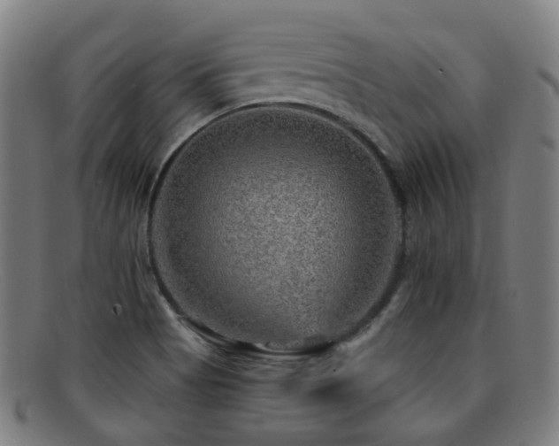 X0000092041513200709121144
