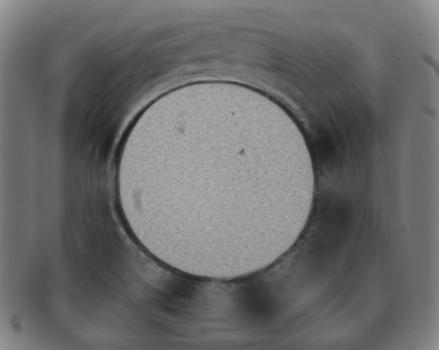 X0000092041514200709121144