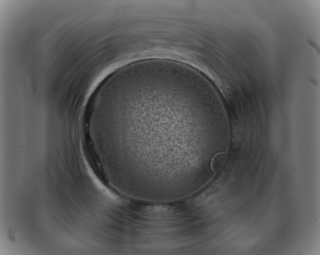 X0000092041515200709121144