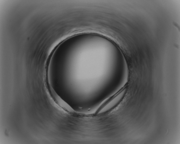 X0000092041518200709121144
