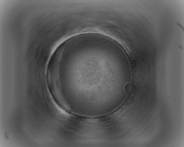 X0000092041519200709121144