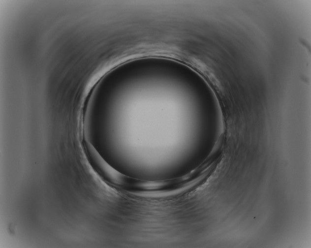 X0000092041520200709121144