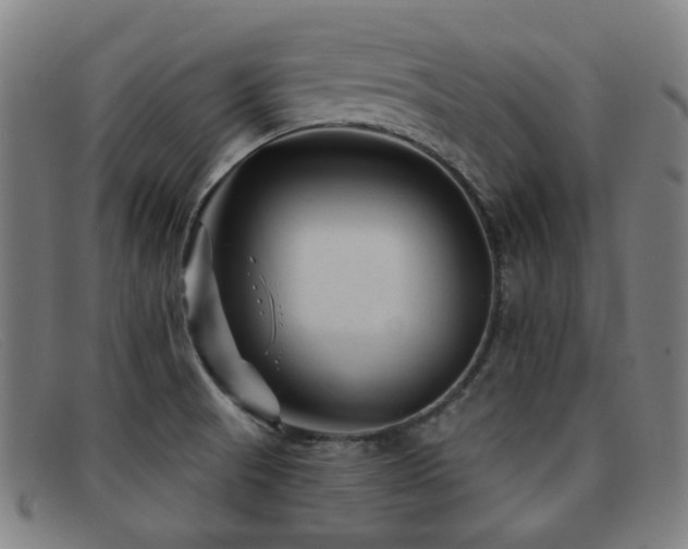 X0000092041521200709121144