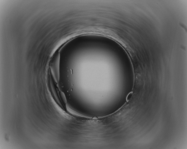 X0000092041523200709121144