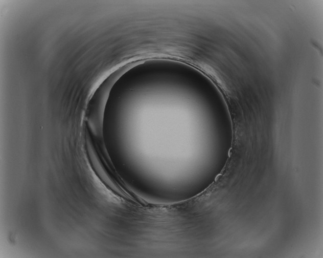 X0000092041524200709121144