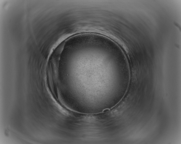 X0000092041525200709121144