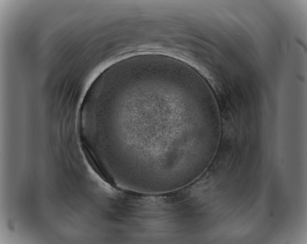 X0000092041527200709121144
