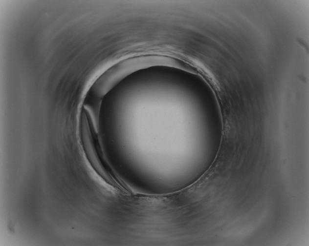 X0000092041528200709121144