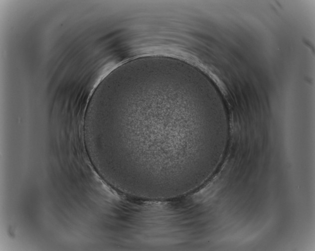 X0000092041529200709121144