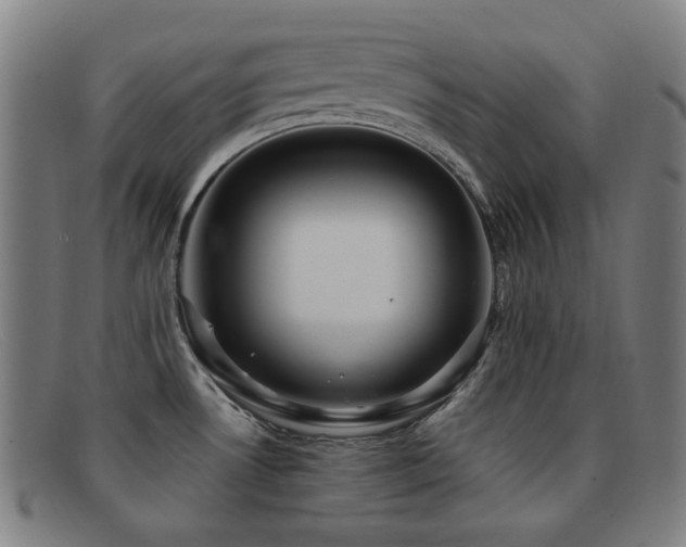X0000092041530200709121144