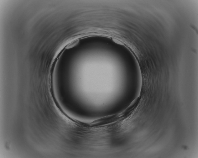 X0000092041531200709121144