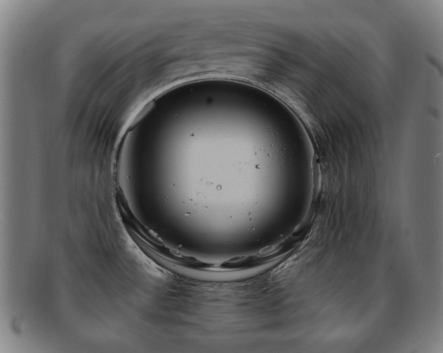 X0000092041532200709121144