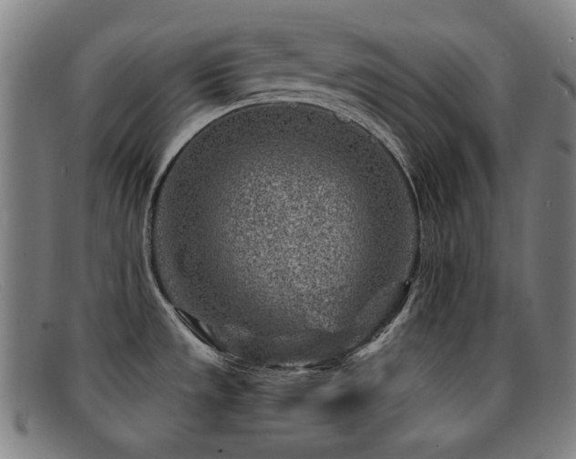 X0000092041533200709121144
