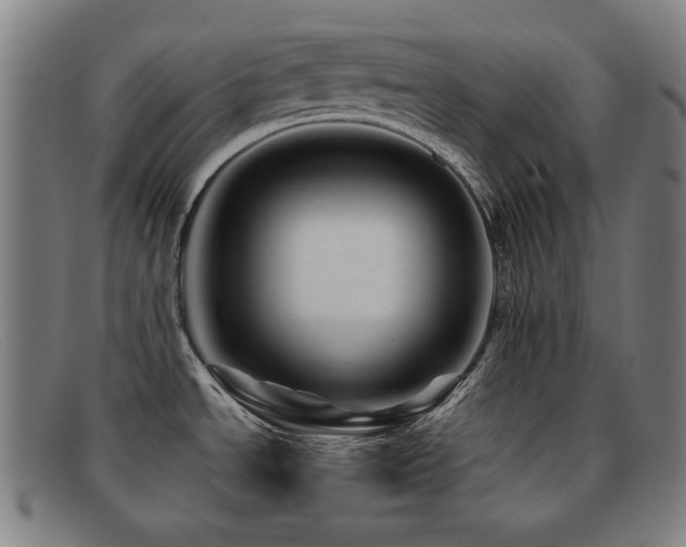 X0000092041534200709121144