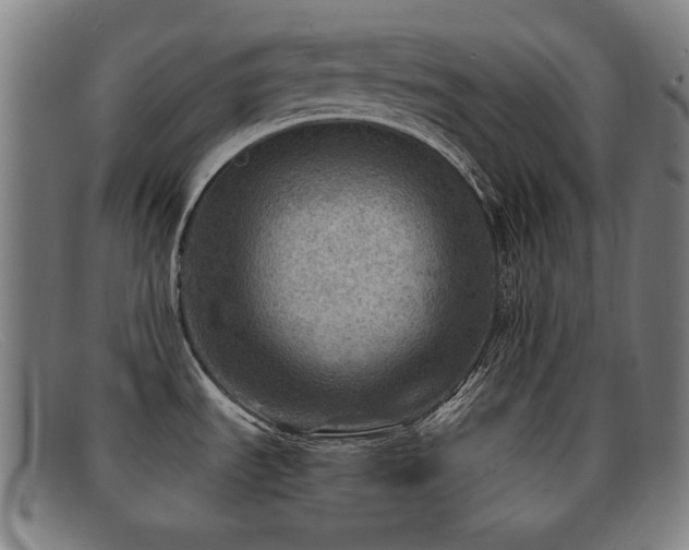 X0000092041535200709121144