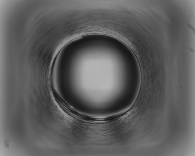 X0000092041536200709121144