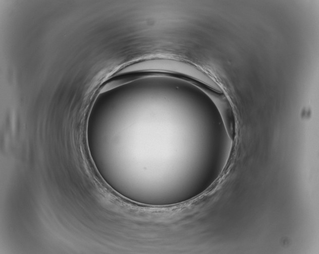 X0000092040001200709191109