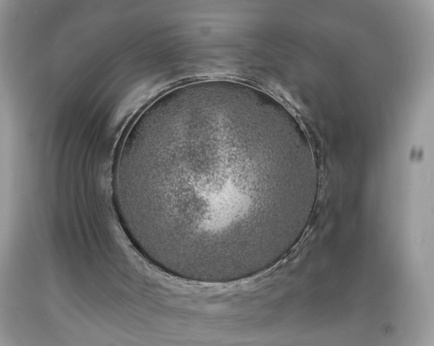 X0000092040002200709191109