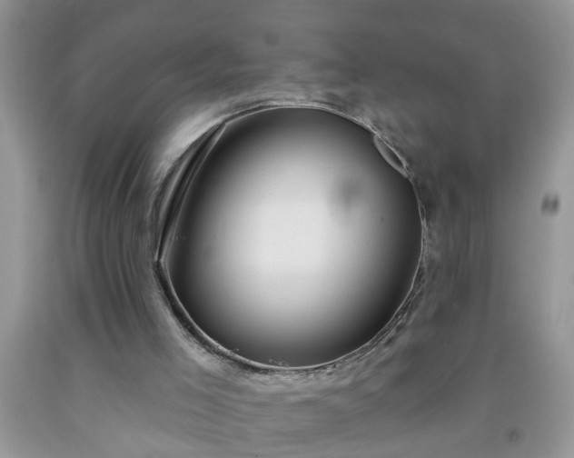 X0000092040005200709191109