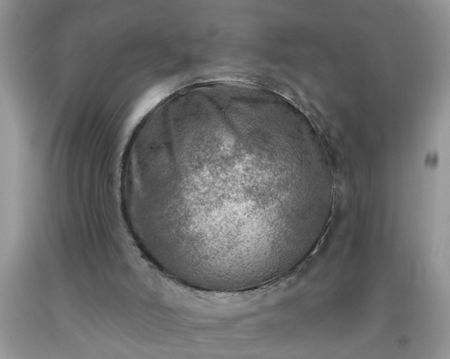 X0000092040006200709191109