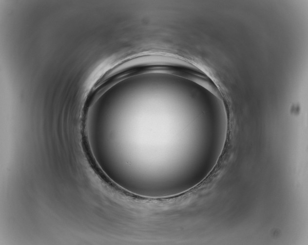 X0000092040007200709191109