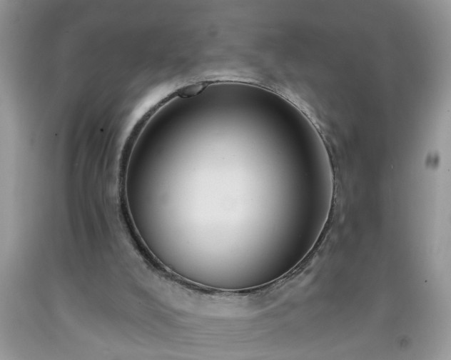 X0000092040008200709191109