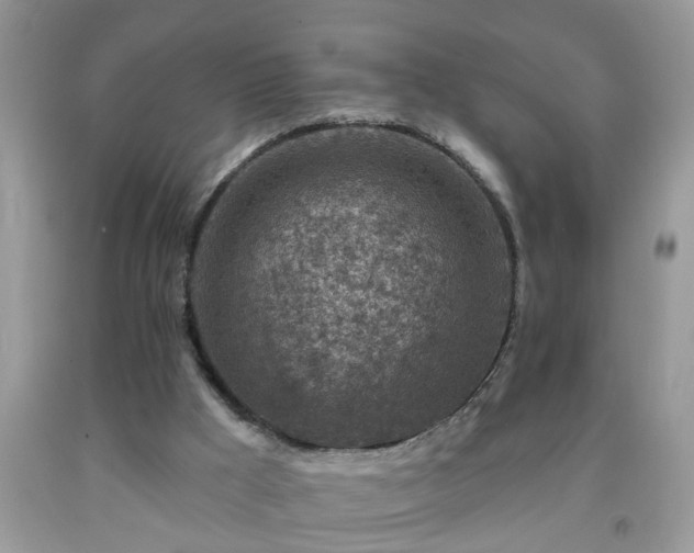 X0000092040009200709191109