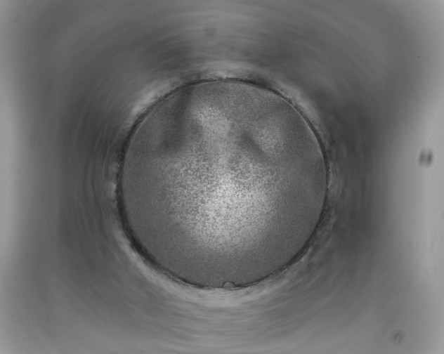 X0000092040010200709191109