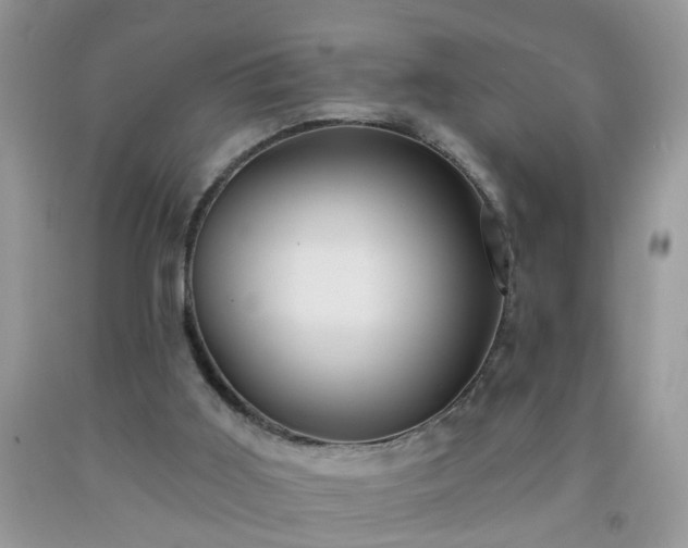 X0000092040011200709191109