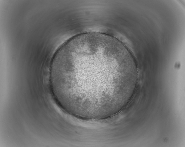 X0000092040012200709191109